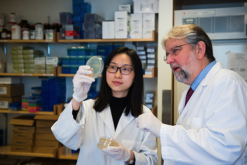 Research and Clinical Trials