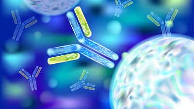 Immunology Research Immunology and Inflammatory Diseases