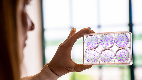 Researcher in the Corcoran lab. Researcher in the Corcoran lab.