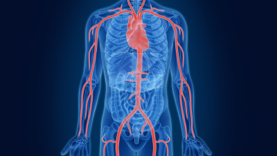Vessels Video: Blood Vessels