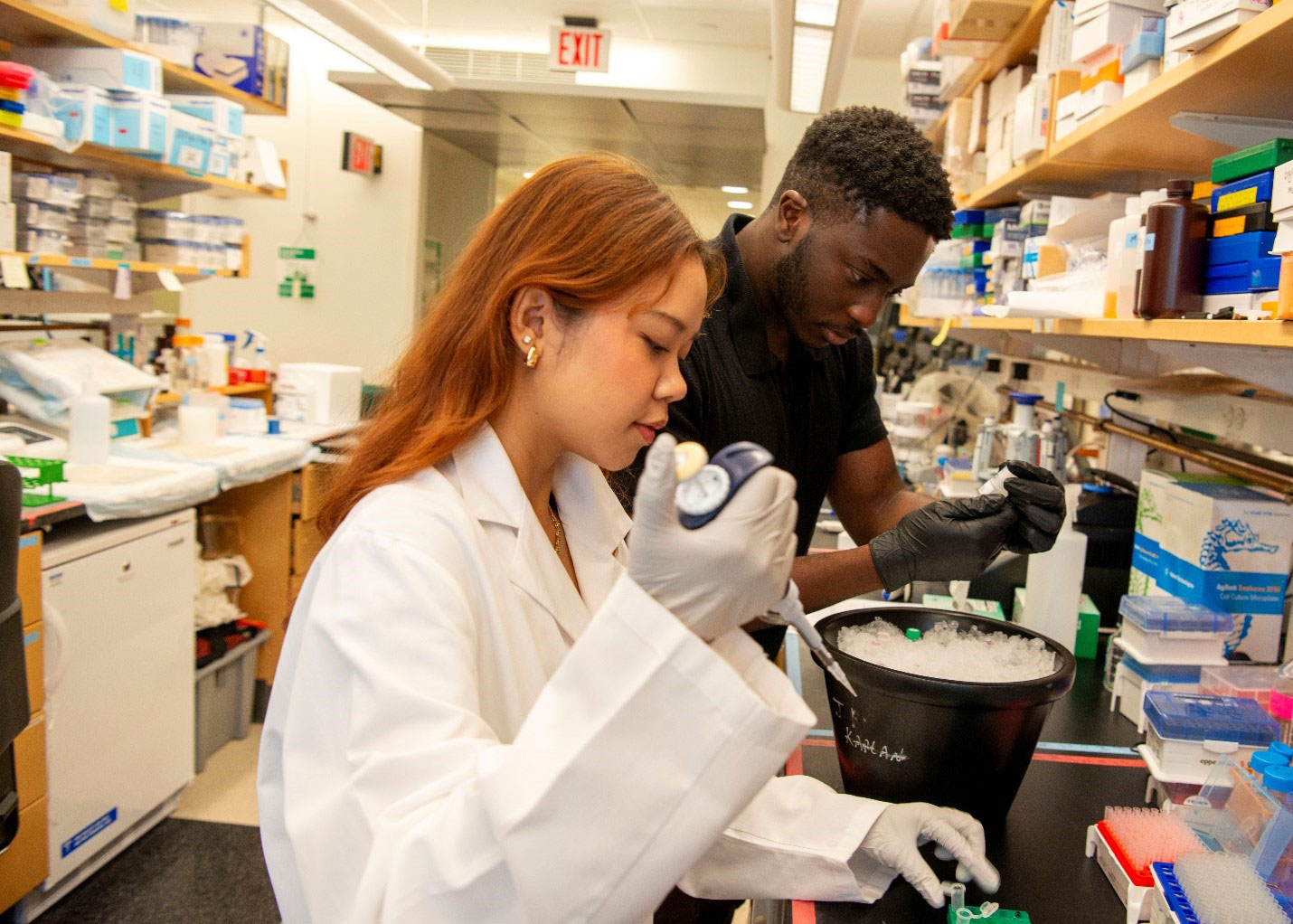 Nancy Ung and Sam Pamphile, 2024 interns, working in the Musolino Lab.