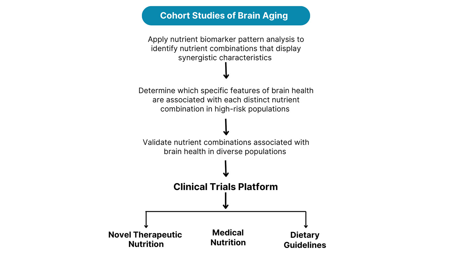 A graphic that reads: Cohort Studies of Brain Aging - 1. Apply nutrient biomarker pattern analysis to identify nutrient combinations that display synergistic characteristics, 2. Determine which specific features of brain health are associated with each distinct nutrient combination in high-risk populations, 3. Validate nutrient combinations associated with brain health in diverse populations. Clinical Trials Platform: Novel Therapeutic Nutrition, Medical Nutrition, Dietary Guidelines