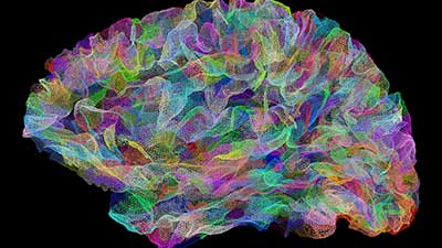 Brain Health and Alzheimer’s Disease: State of the Science