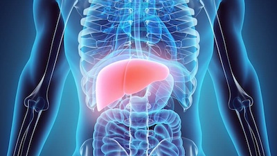Liver Transplant Liver transplant program