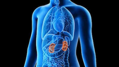 Pediatric Transplant Pediatric transplant program