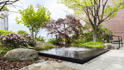 Discover Supportive Care Learn about our supportive care programs.