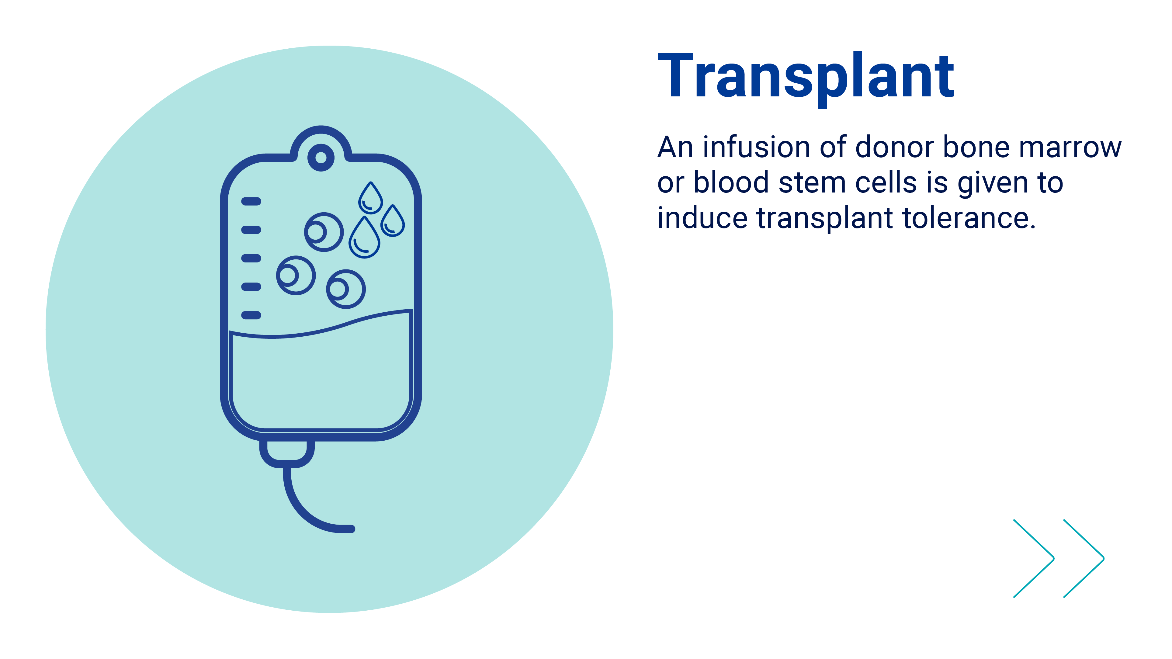 Transplant Transplant