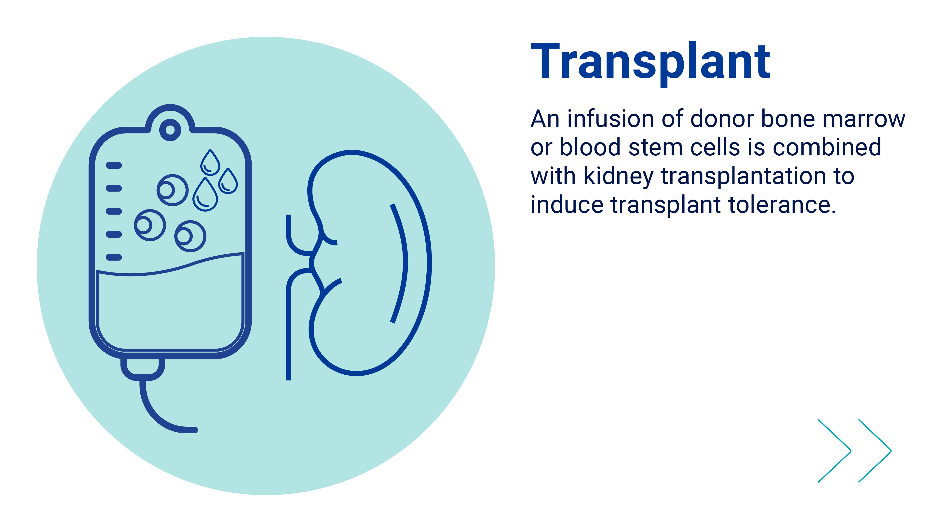 Transplant Transplant